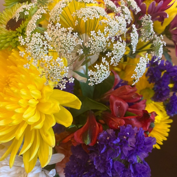 Meet your Posher, Ms. Lashey - Picture 1 of 1